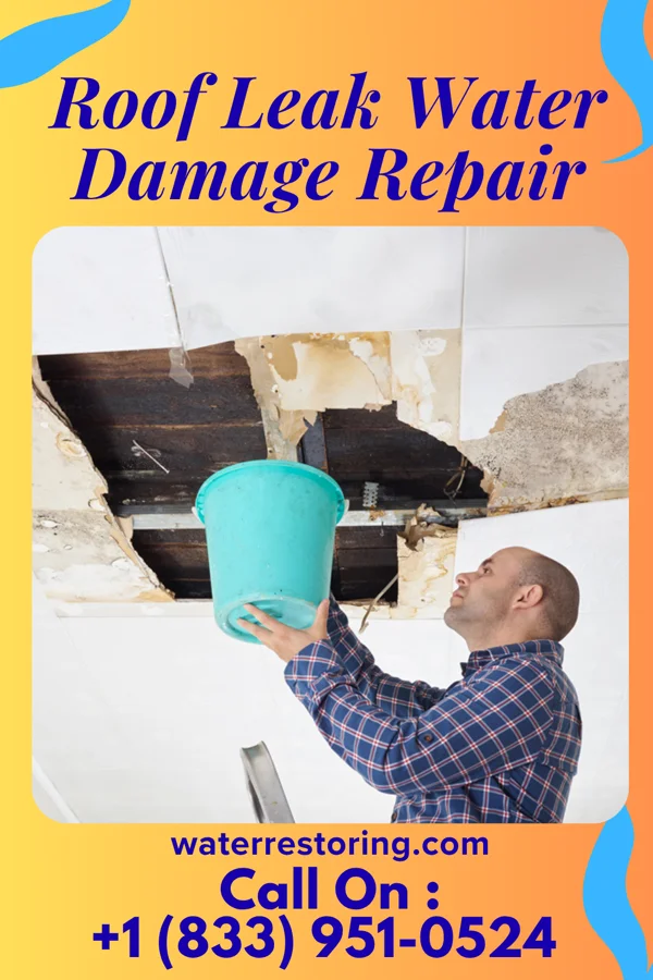 Roof Leak Water Damage Repair in Clyde, NC