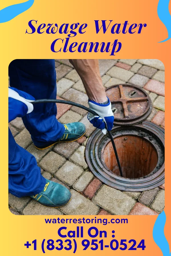 Sewage Water Cleanup in Clyde, NC
